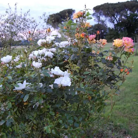 Arie - Chez Joelle Et Michel Pensión Dému