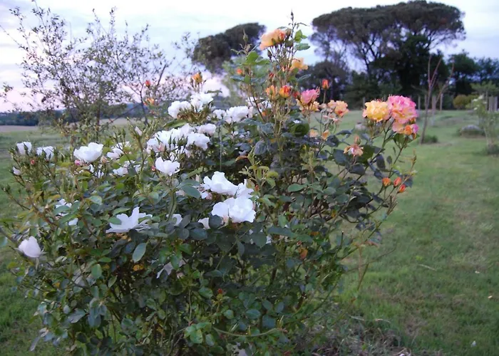 Arie - Chez Joelle Et Michel Pensión Dému