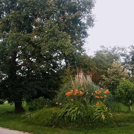 게스트하우스 Arie - Chez Joelle Et Michel Dému