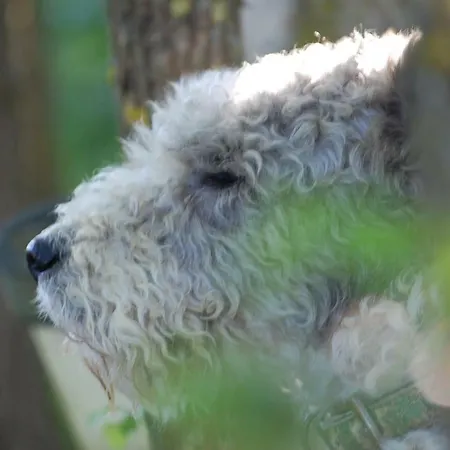 Arie - Chez Joelle Et Michel 게스트하우스 Dému